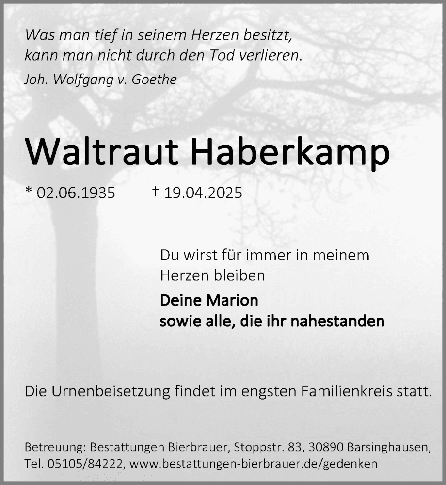 Portrait von Waltraut Haberkamp
