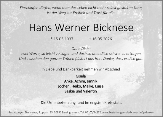 Portrait von Hans Werner Bicknese